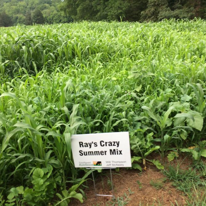 A plot showing Ray's Crazy Summer Mix