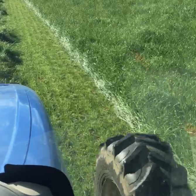 Fojtan for hay
