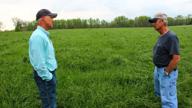 Two men standing in a field talking