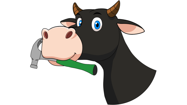 Cow holding hammer it it's mouth.