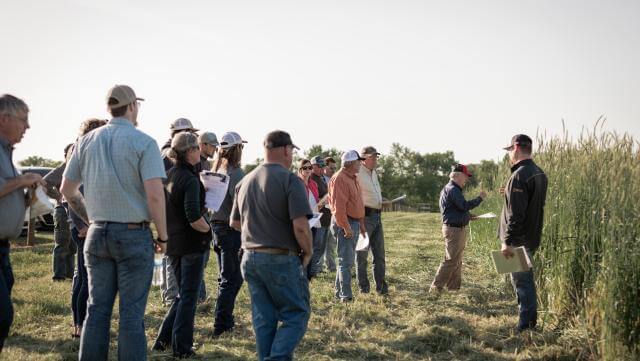 A crowd in a field