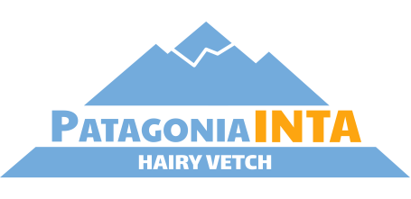 Patagonia Logo