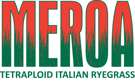 Meroa Tetraploid Italian Ryegrass Logo