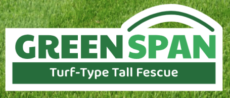 Greenspan Logo