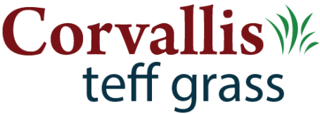 Grass illustration with the word "Corvallis teff grass"