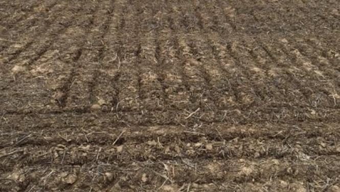 Dirt field