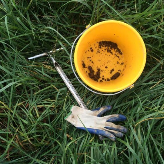 Reclaiming land Successional Planting for Perennial Pasture Success