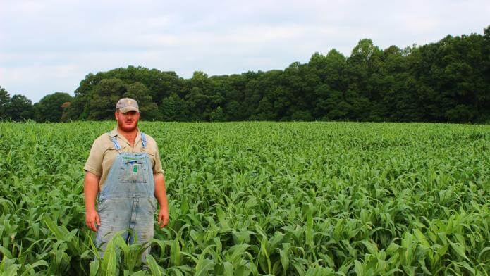 Man standing in a field