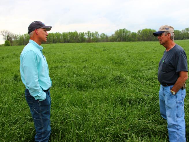 Two men standing in a field talking