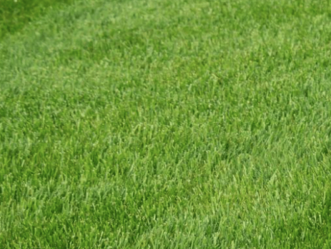 Greenspan Image